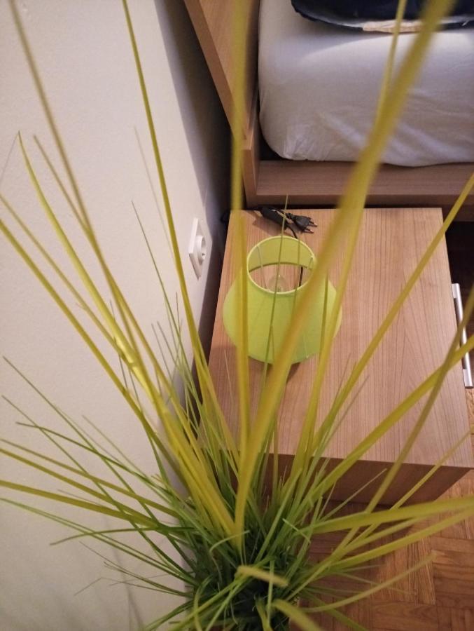 Apartment San Izola - Near The Beach Ngoại thất bức ảnh