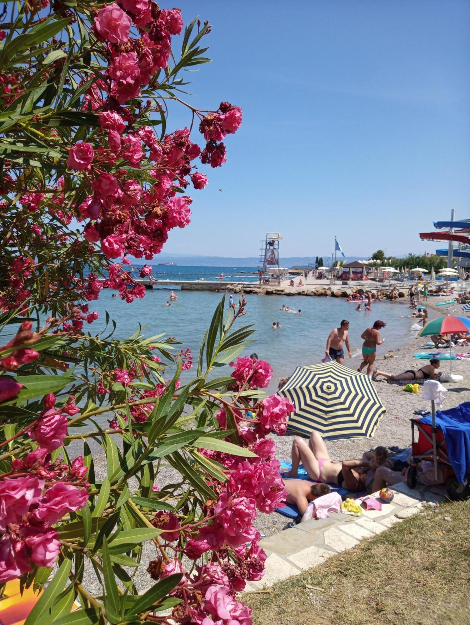 Apartment San Izola - Near The Beach Ngoại thất bức ảnh